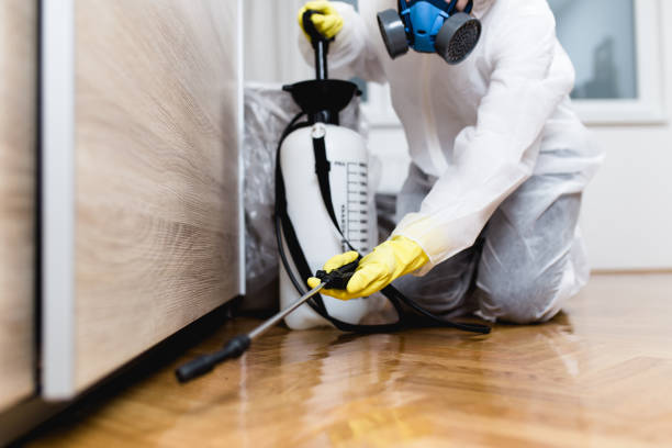 Best Ant Control Services  in Dumbarton, VA