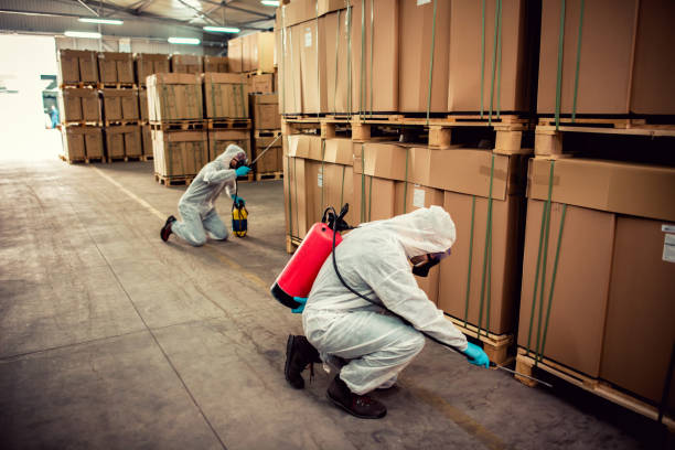 Best Exterminator Services  in Dumbarton, VA