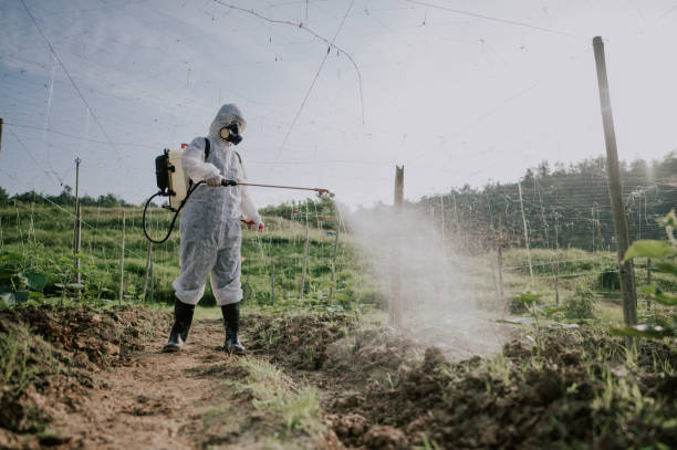 Best Pest Prevention Services  in Dumbarton, VA
