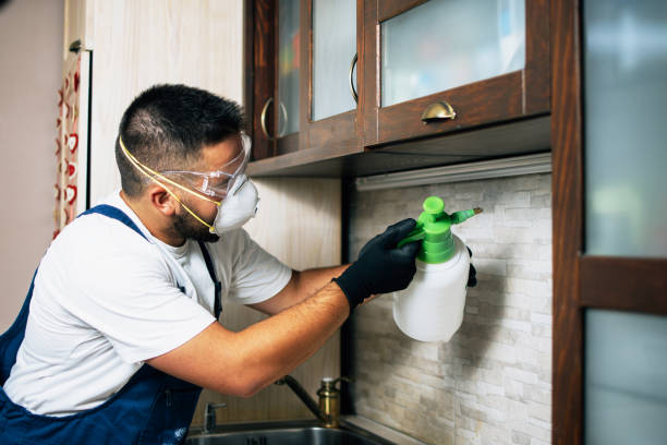 Best Rat Extermination Near Me  in Dumbarton, VA