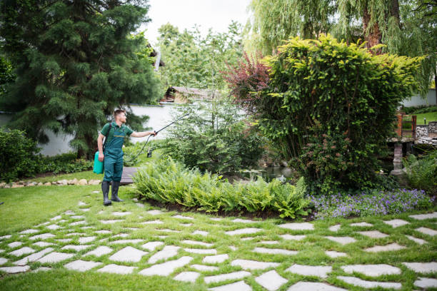 Best Affordable Pest Control Services  in Dumbarton, VA