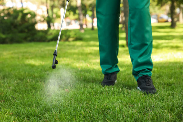 Best Bed Bug Extermination  in Dumbarton, VA