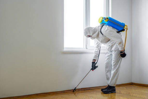 Best Cockroach Control Services  in Dumbarton, VA