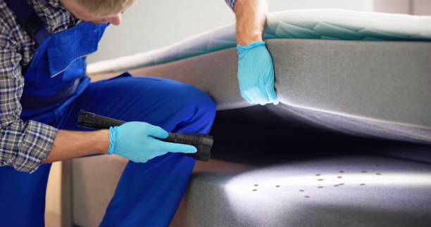 Best Wasp Removal Services  in Dumbarton, VA