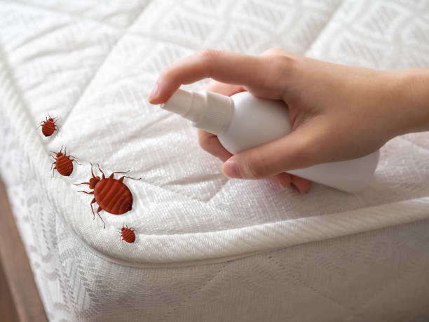 Best Pest Control Near Me in Dumbarton, VA