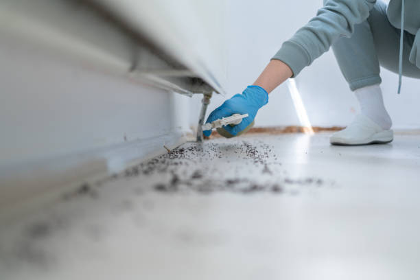 Best Best Pest Control Companies  in Dumbarton, VA